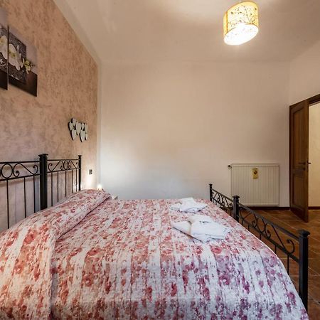 Conce Apartment Πίζα Εξωτερικό φωτογραφία