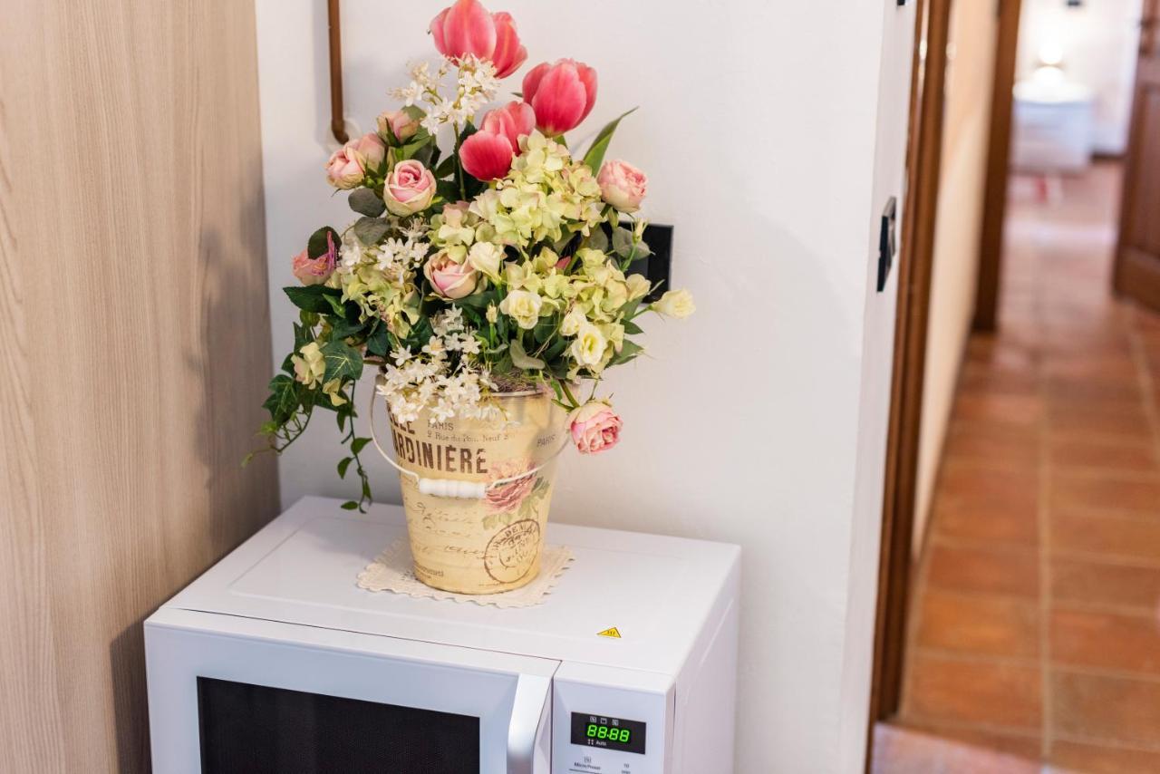 Conce Apartment Πίζα Εξωτερικό φωτογραφία